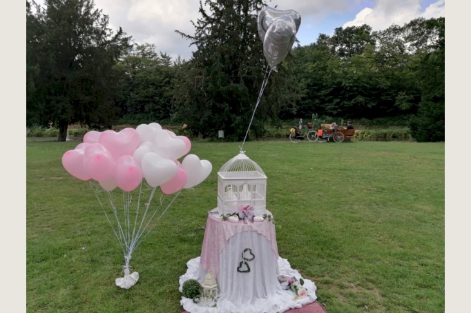 Weisse HOCHZEITSTAUBEN, HERZHELIUMBALLONS Sie suchen ein schönes Event oder Geschenk zur Hochzeit ?