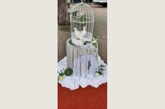 Weisse HOCHZEITSTAUBEN, HERZHELIUMBALLONS Sie suchen ein schönes Event oder Geschenk zur Hochzeit ?