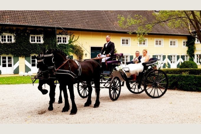 Neue weiße Hochzeitskutsche-gezogen von edlen Friesenpferden-hochwertiger Blumenschmuck inclusive!