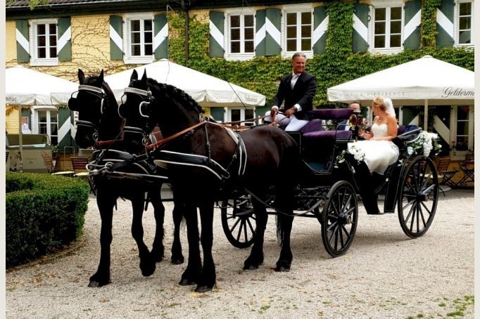 Neue weiße Hochzeitskutsche-gezogen von edlen Friesenpferden-hochwertiger Blumenschmuck inclusive!